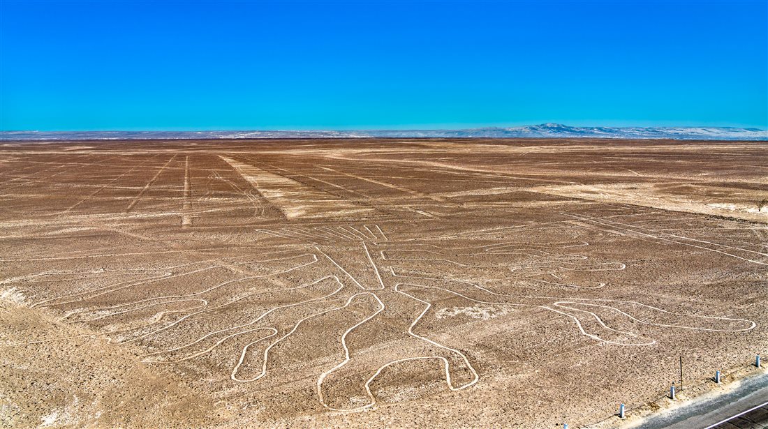 A giant geoglyph etched into the Nazca desert